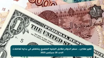 تغير مفاجئ.. سعر الدولار مقابل الجنيه المصري ينخفض في بداية تعاملات الأحد 28 سبتمبر 2025